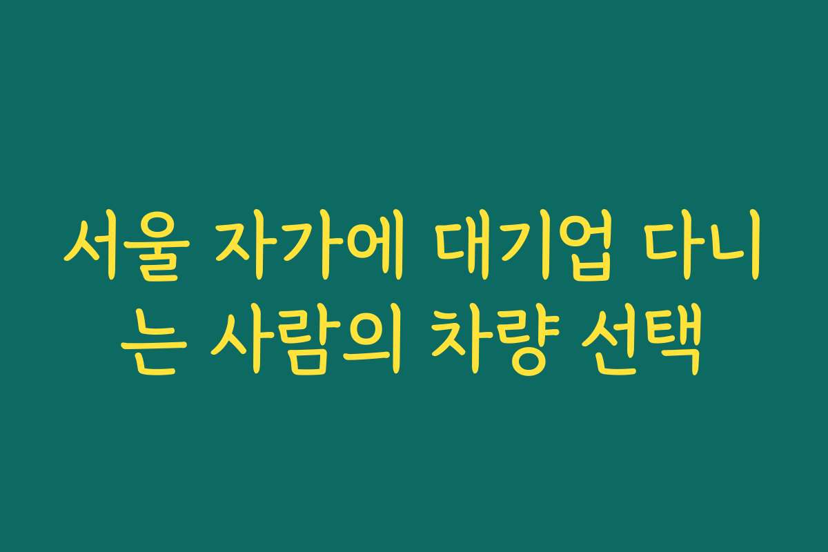 서울 자가에 대기업 다니는 사람의 차량 선택