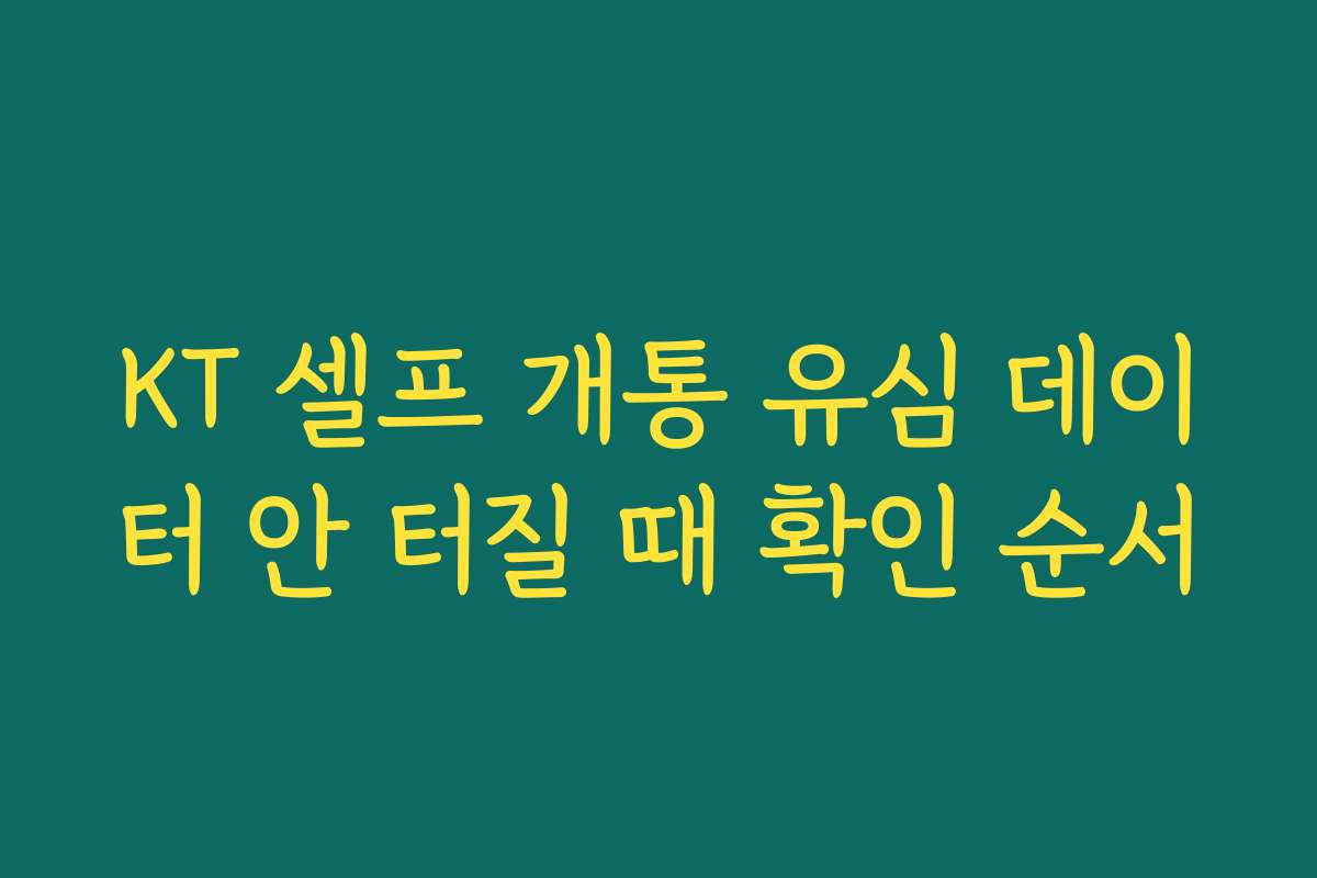 KT 셀프 개통 유심 데이터 안 터질 때 확인 순서