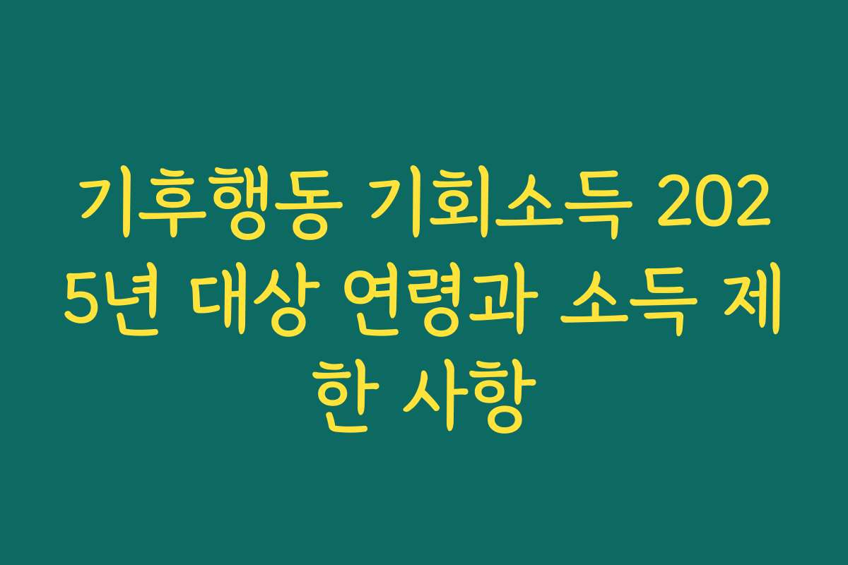 기후행동 기회소득 2025년 대상 연령과 소득 제한 사항