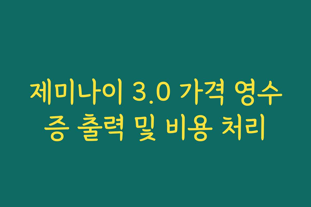 제미나이 3.0 가격 영수증 출력 및 비용 처리