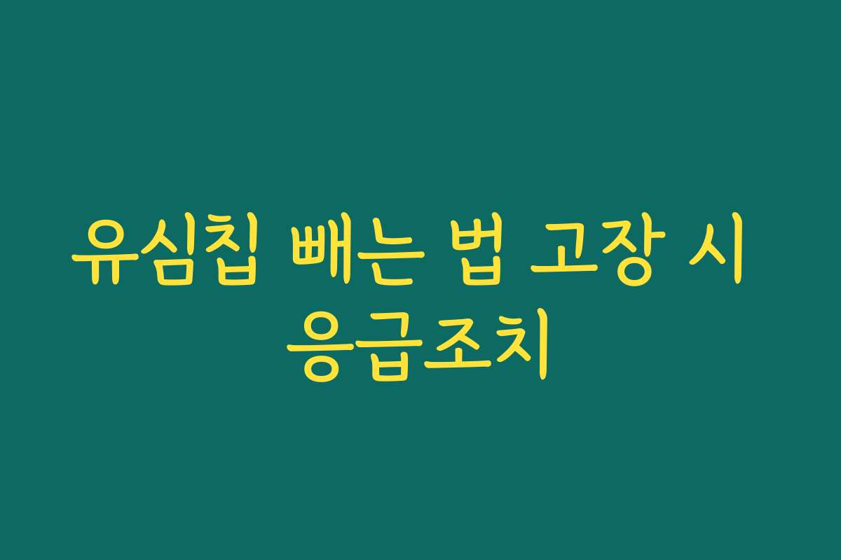 유심칩 빼는 법 고장 시 응급조치