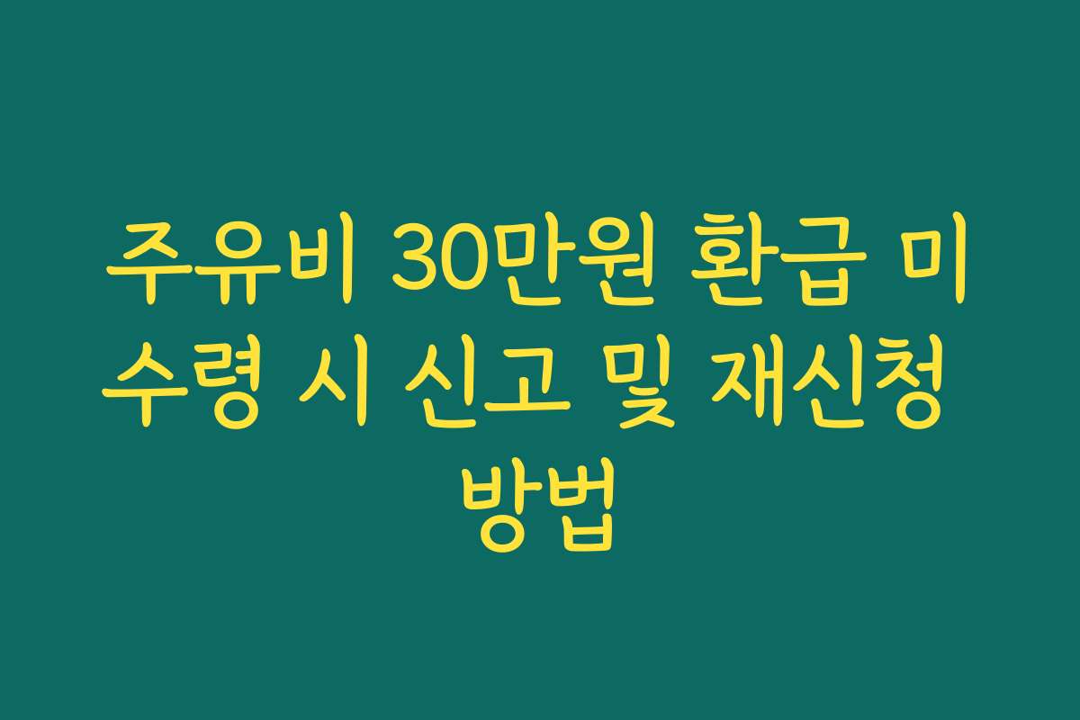 주유비 30만원 환급 미수령 시 신고 및 재신청 방법