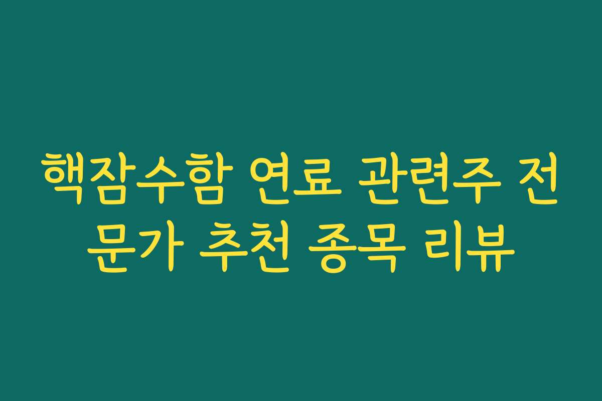 핵잠수함 연료 관련주 전문가 추천 종목 리뷰