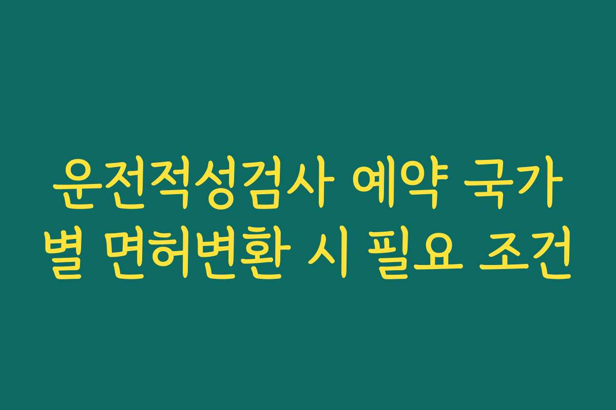 운전적성검사 예약 국가별 면허변환 시 필요 조건