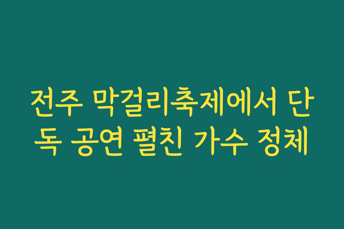 전주 막걸리축제에서 단독 공연 펼친 가수 정체