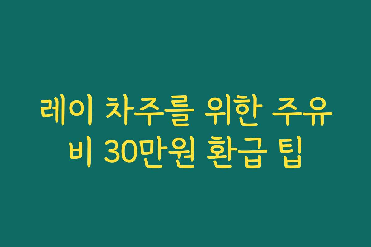 레이 차주를 위한 주유비 30만원 환급 팁