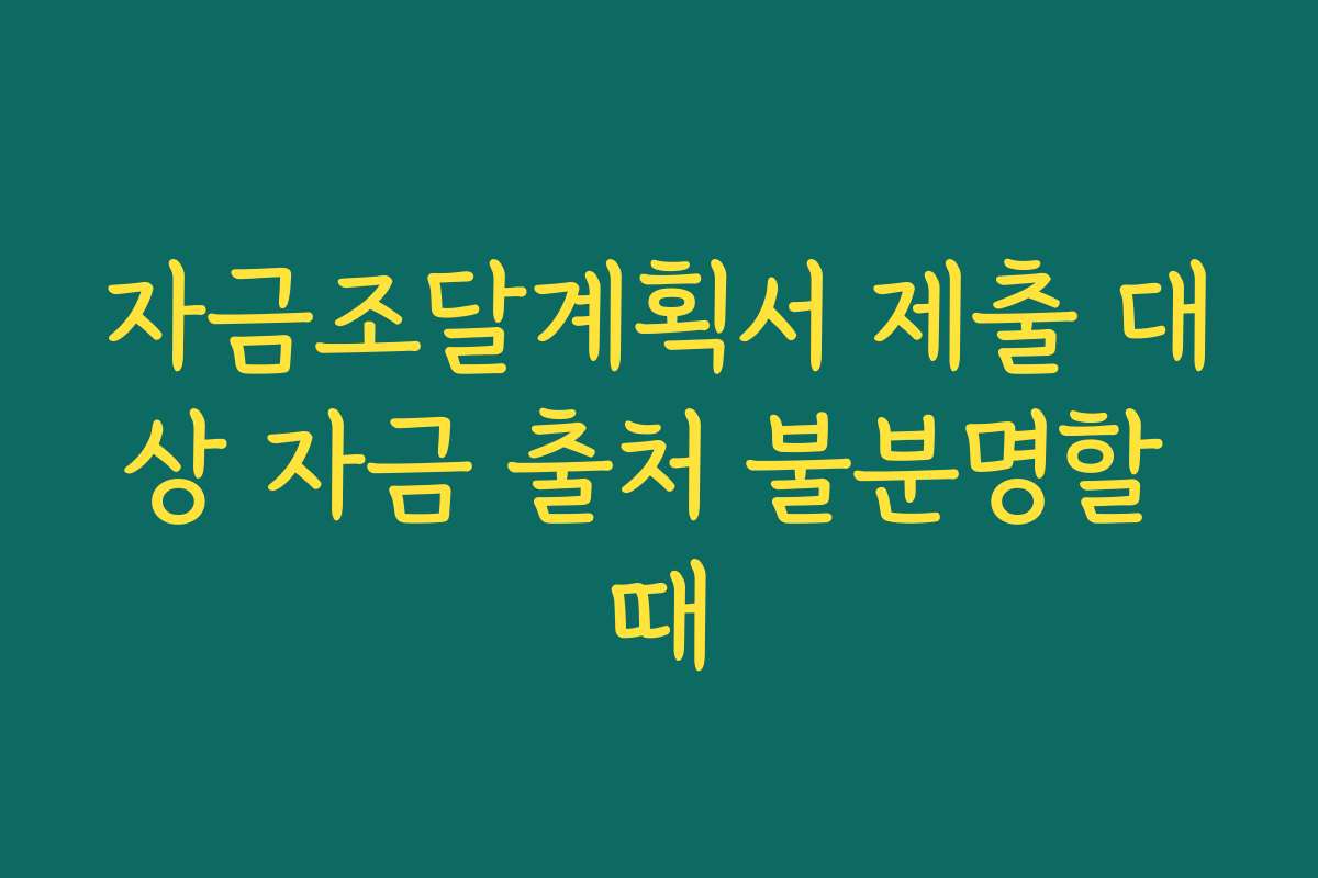 자금조달계획서 제출 대상 자금 출처 불분명할 때