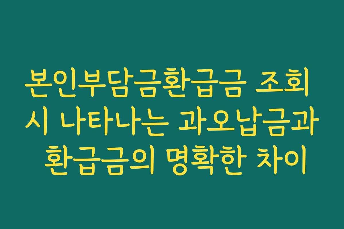 본인부담금환급금 조회 시 나타나는 과오납금과 환급금의 명확한 차이