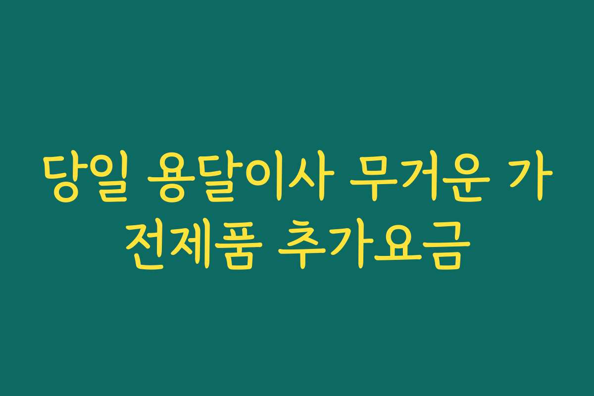 당일 용달이사 무거운 가전제품 추가요금