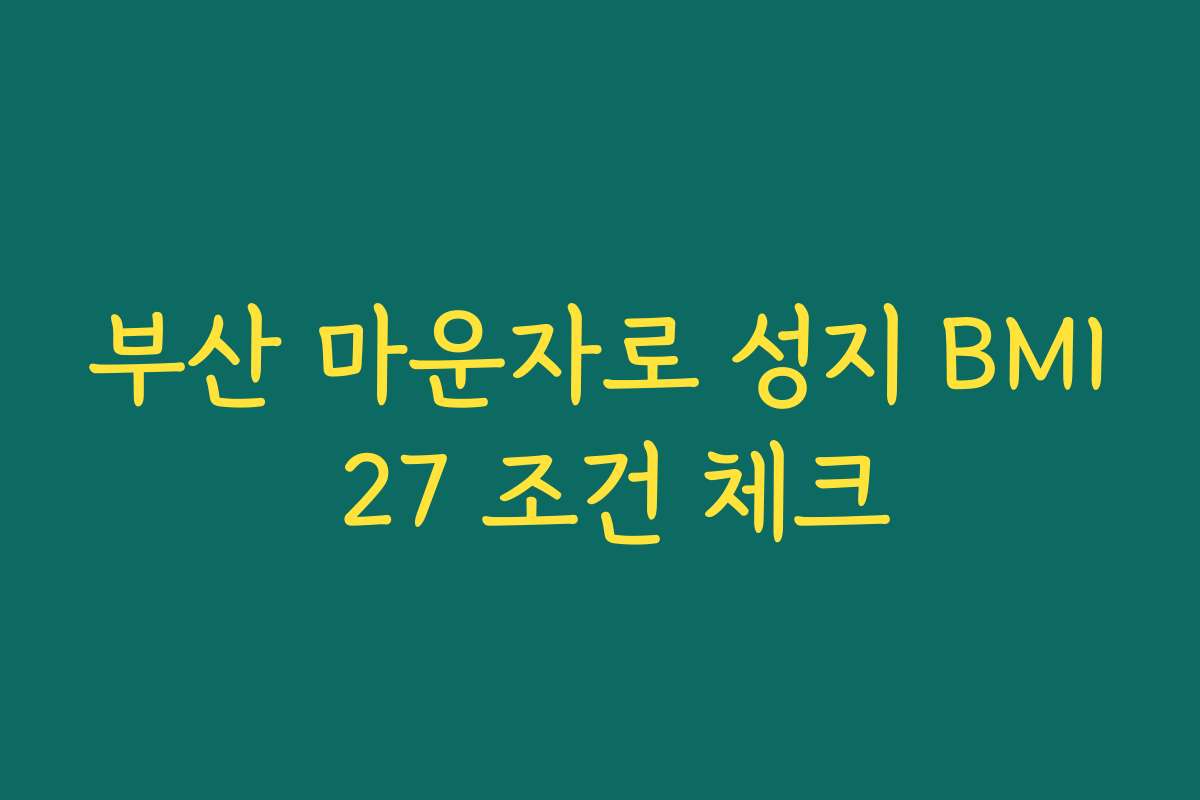 부산 마운자로 성지 BMI 27 조건 체크 부산 마운자로 성지 BMI 27 조건 체크
