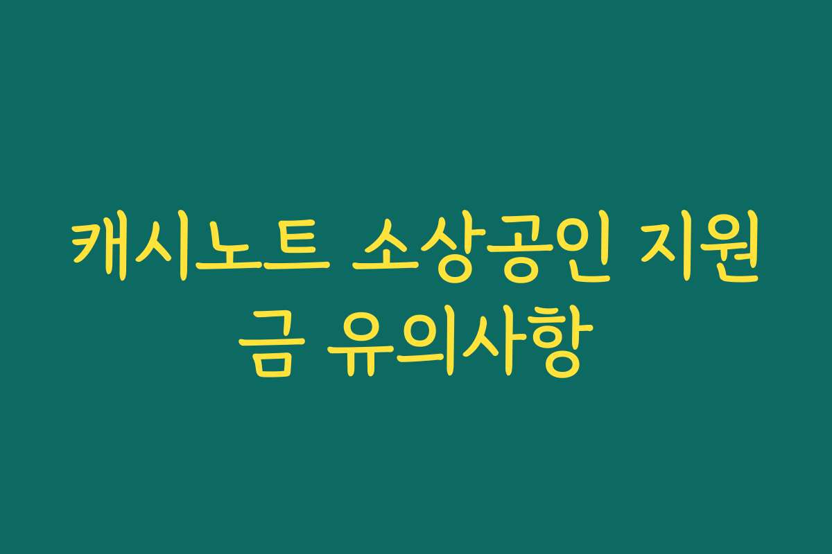 캐시노트 소상공인 지원금 유의사항