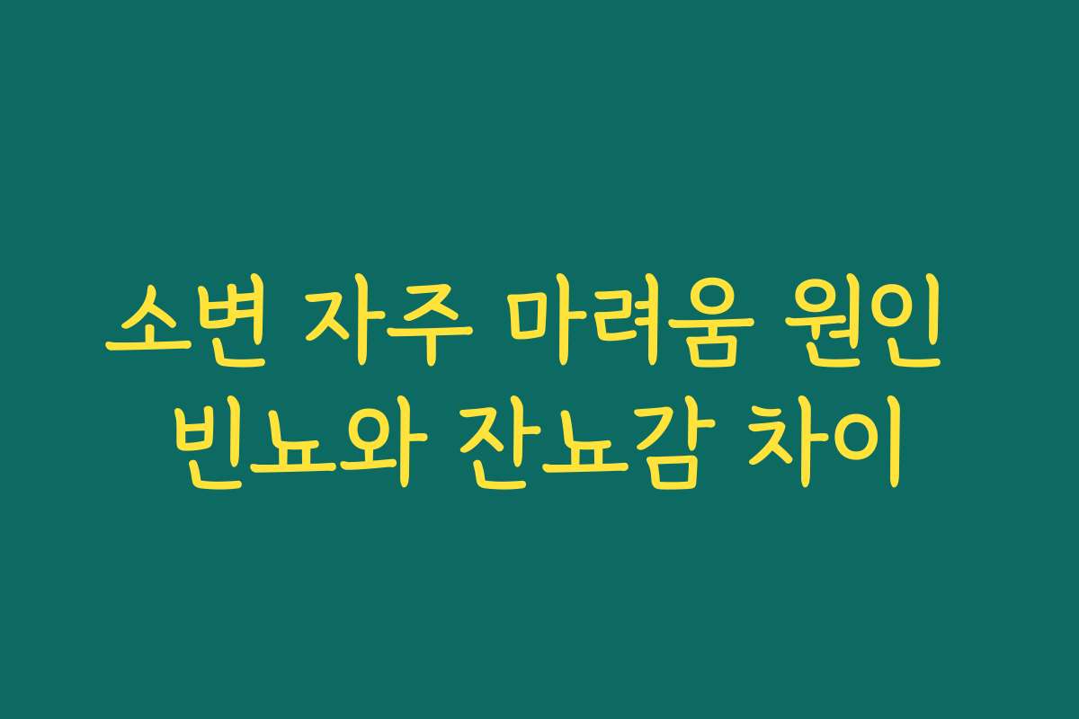 소변 자주 마려움 원인 빈뇨와 잔뇨감 차이