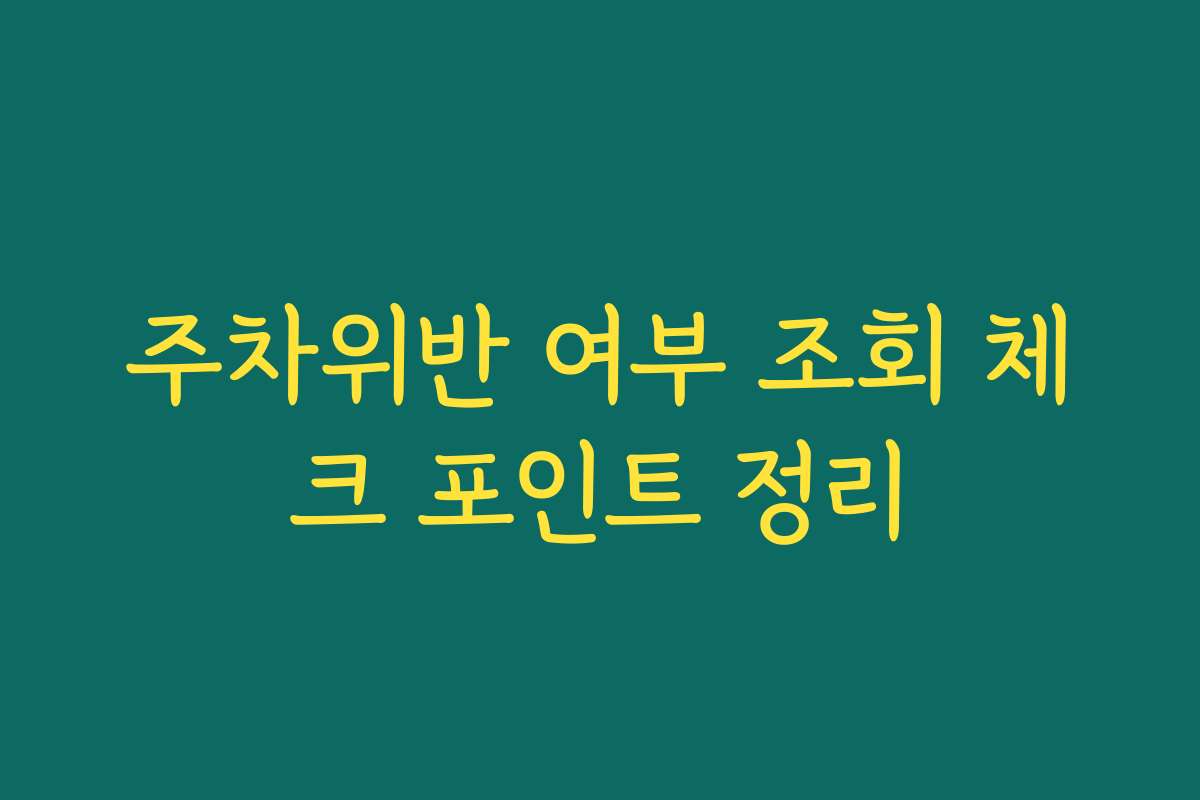 주차위반 여부 조회 체크 포인트 정리