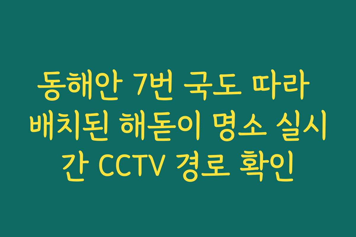 동해안 7번 국도 따라 배치된 해돋이 명소 실시간 CCTV 경로 확인