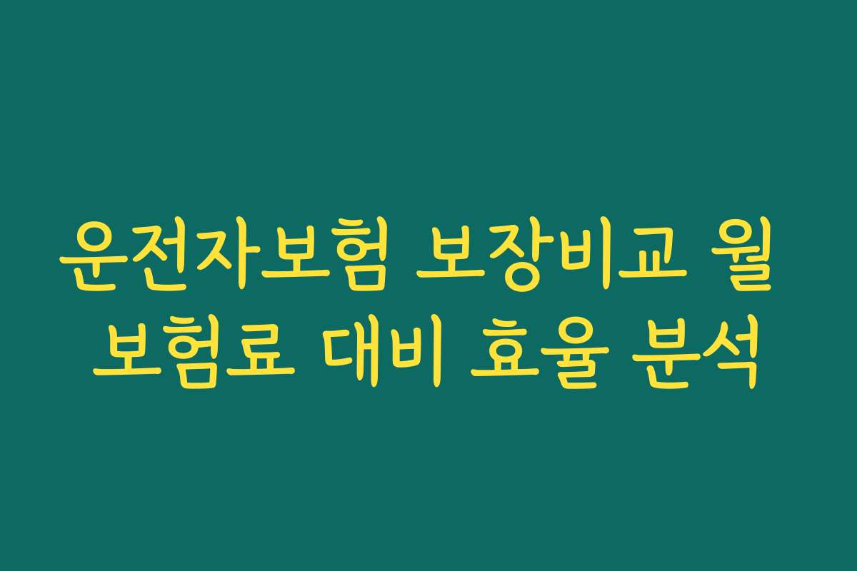 운전자보험 보장비교 월 보험료 대비 효율 분석