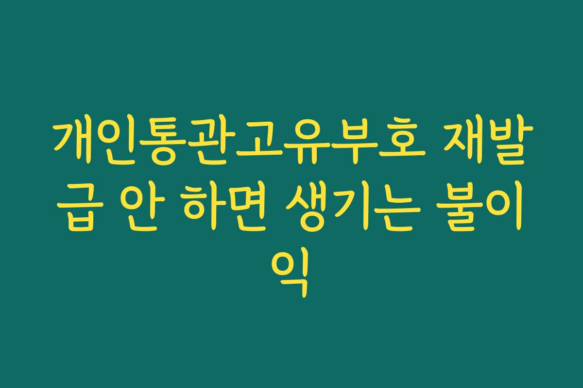 개인통관고유부호 재발급 안 하면 생기는 불이익