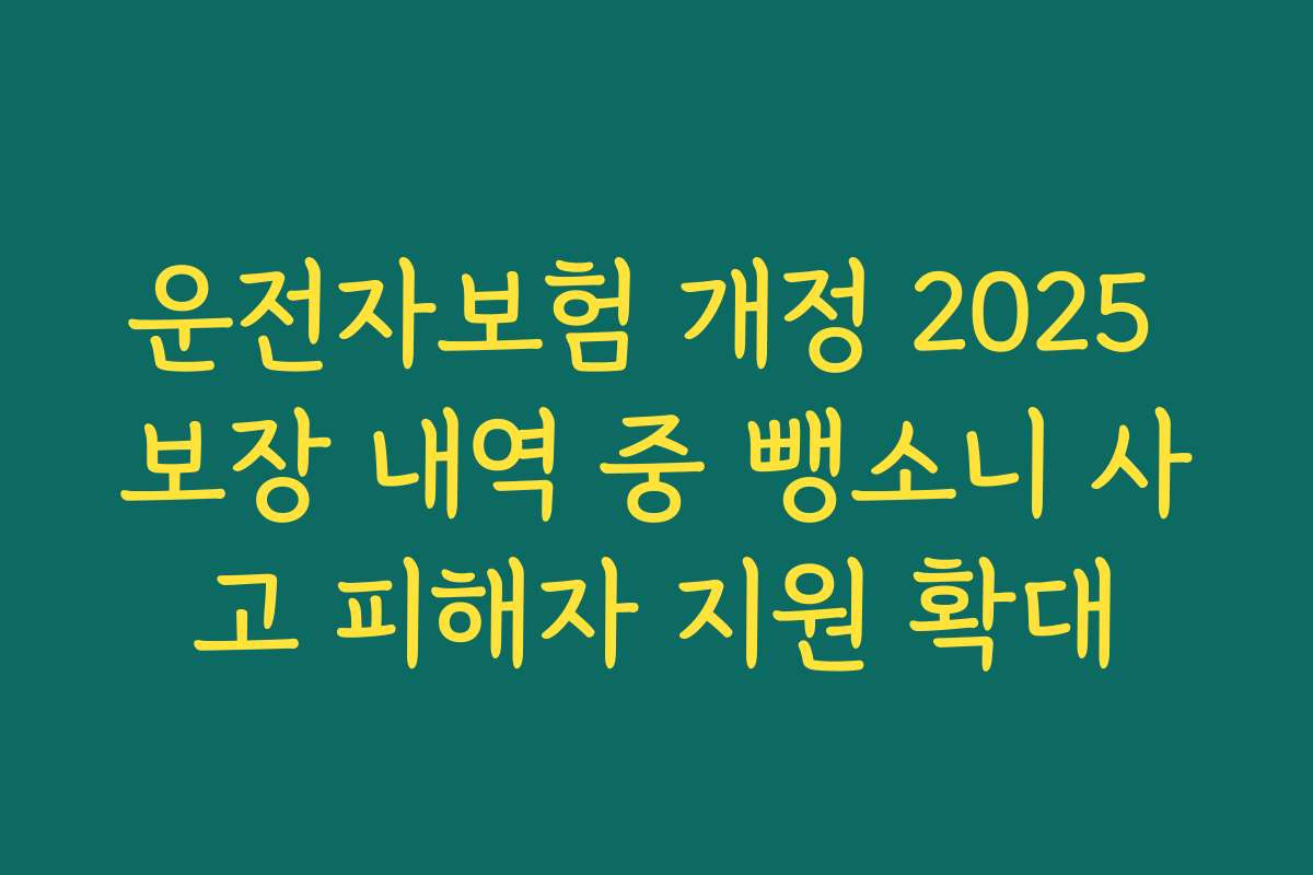 운전자보험 개정 2025 보장 내역 중 뺑소니 사고 피해자 지원 확대