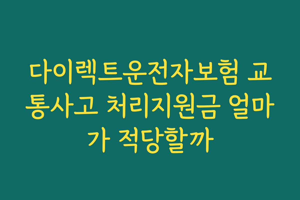 다이렉트운전자보험 교통사고 처리지원금 얼마가 적당할까
