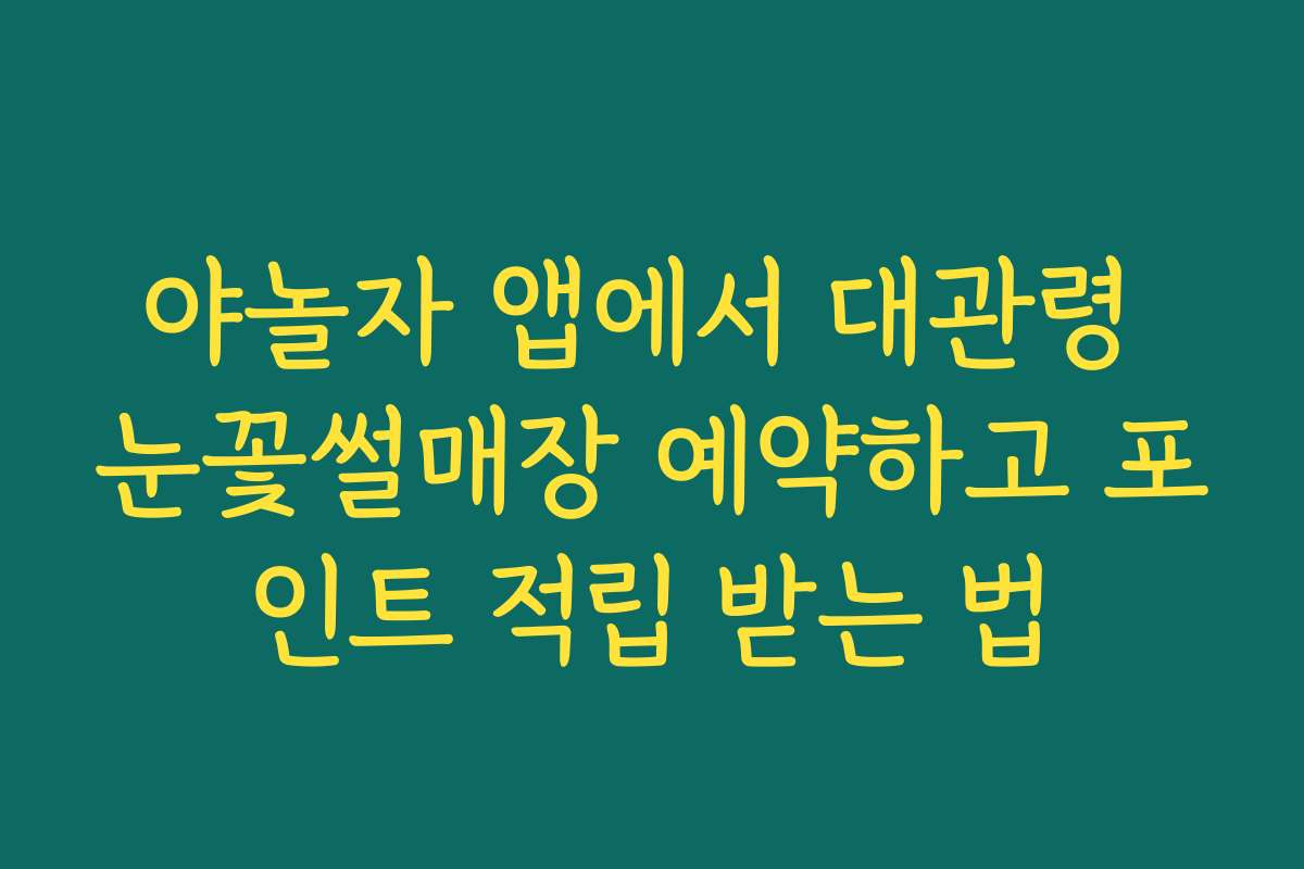 야놀자 앱에서 대관령 눈꽃썰매장 예약하고 포인트 적립 받는 법 야놀자 앱에서 대관령 눈꽃썰매장 예약하고 포인트 적립 받는 법