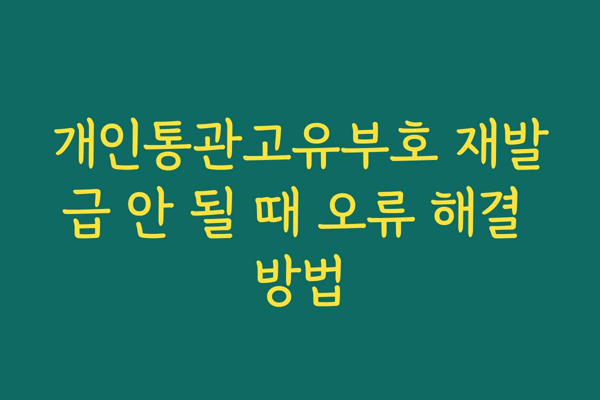 개인통관고유부호 재발급 안 될 때 오류 해결 방법 개인통관고유부호 재발급 안 될 때 오류 해결 방법
