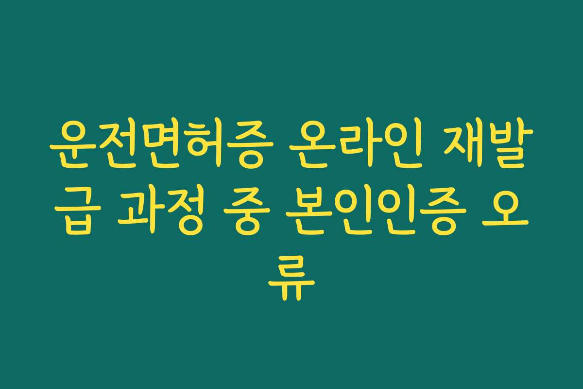 운전면허증 온라인 재발급 과정 중 본인인증 오류