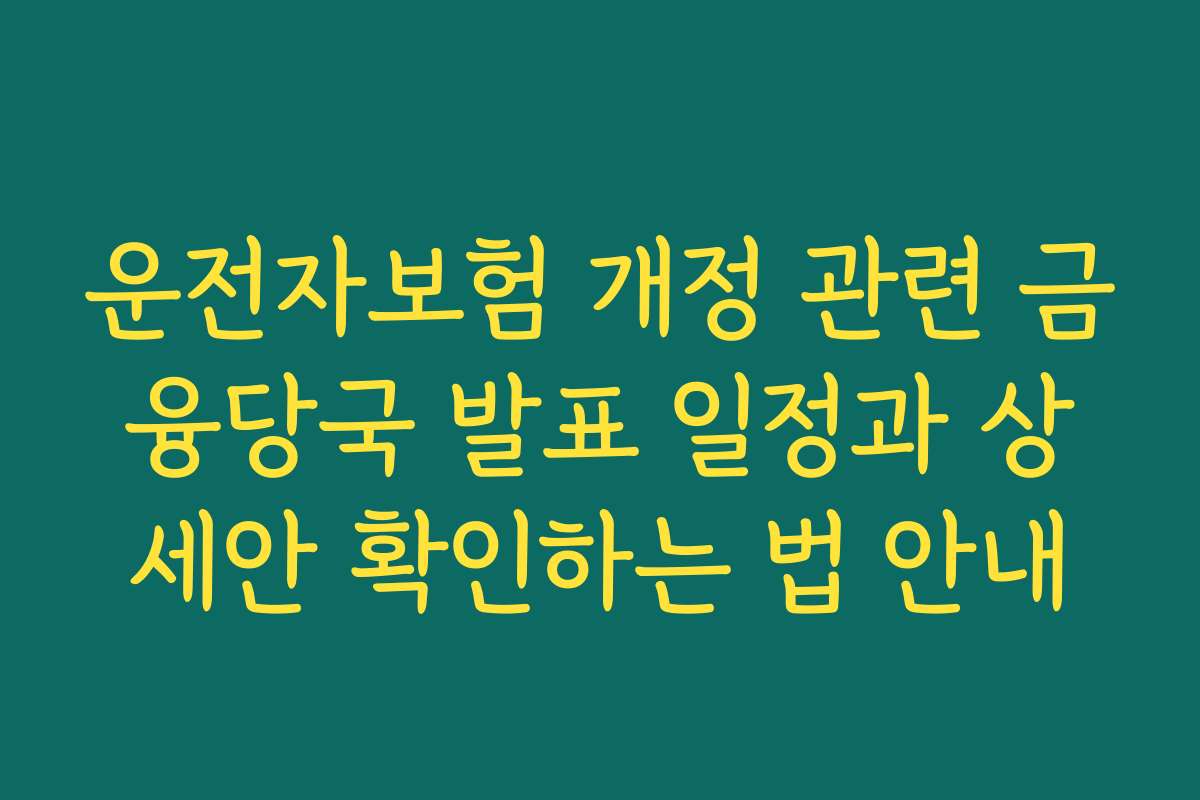운전자보험 개정 관련 금융당국 발표 일정과 상세안 확인하는 법 안내