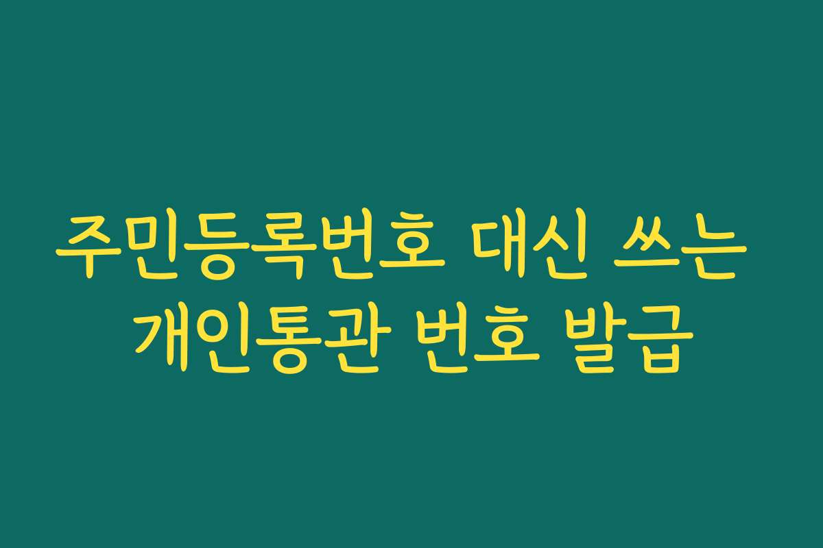 주민등록번호 대신 쓰는 개인통관 번호 발급