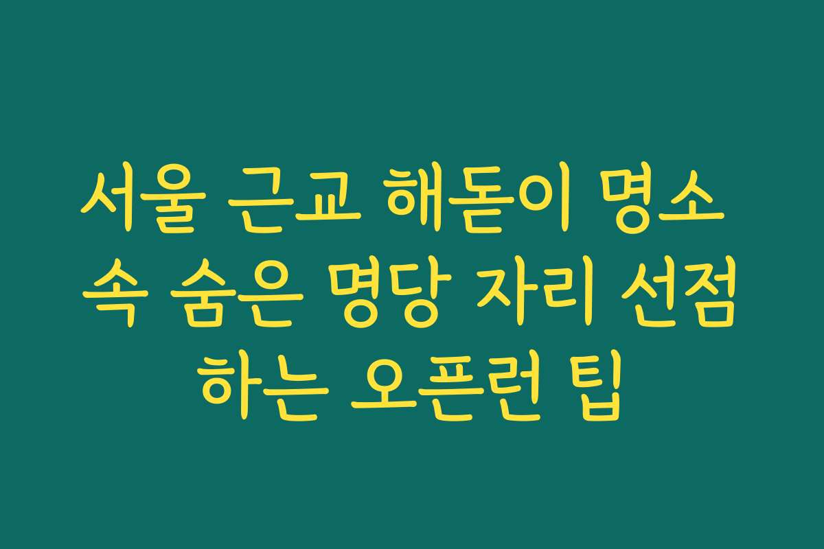 서울 근교 해돋이 명소 속 숨은 명당 자리 선점하는 오픈런 팁