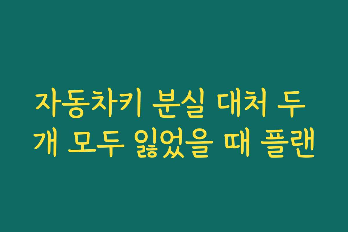 자동차키 분실 대처 두 개 모두 잃었을 때 플랜