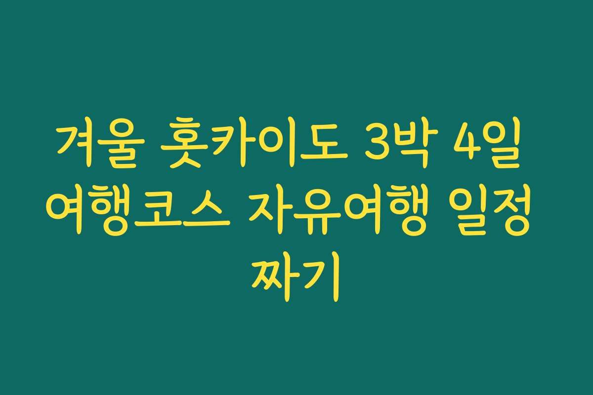 겨울 홋카이도 3박 4일 여행코스 자유여행 일정 짜기 겨울 홋카이도 3박 4일 여행코스 자유여행 일정 짜기