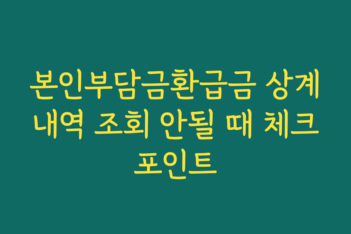 본인부담금환급금 상계내역 조회 안될 때 체크포인트