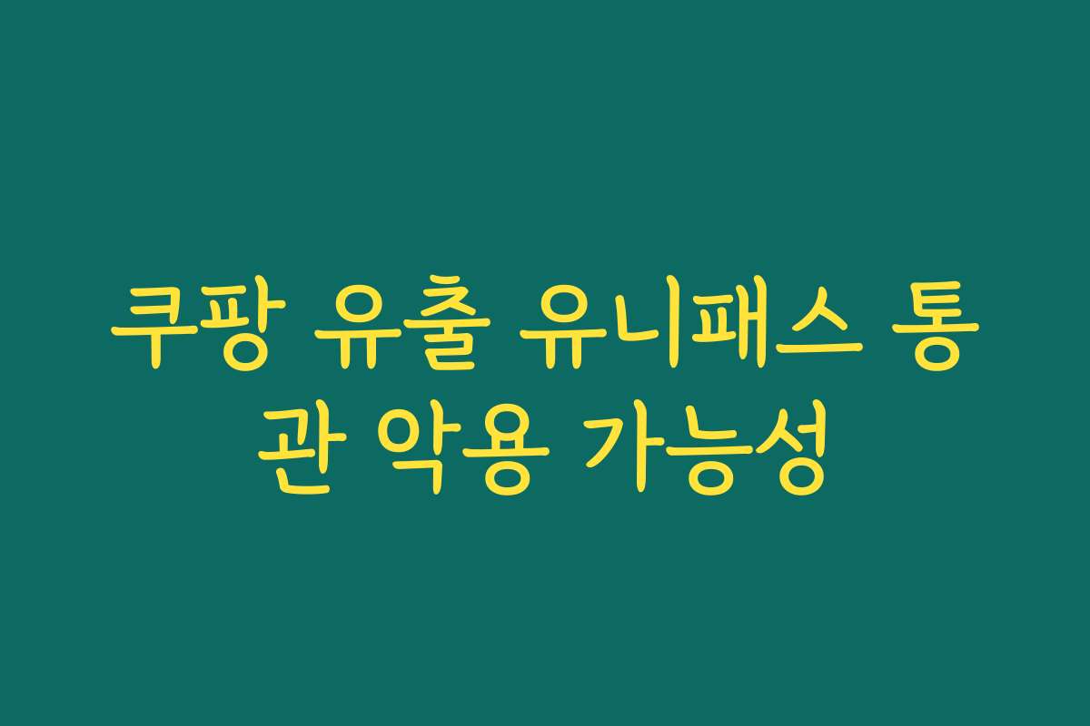 쿠팡 유출 유니패스 통관 악용 가능성 쿠팡 유출 유니패스 통관 악용 가능성