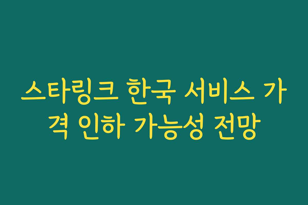 스타링크 한국 서비스 가격 인하 가능성 전망