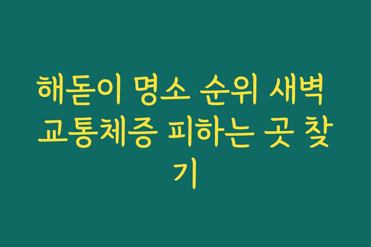 해돋이 명소 순위 새벽 교통체증 피하는 곳 찾기
