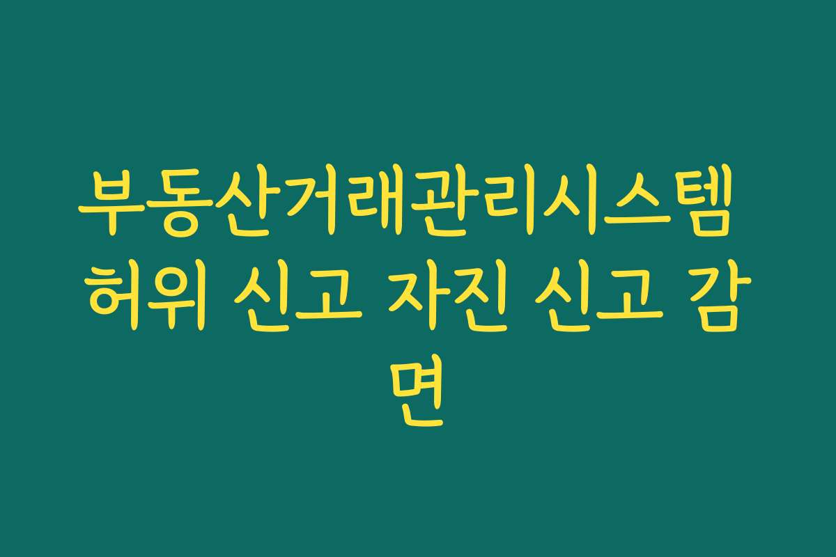 부동산거래관리시스템 허위 신고 자진 신고 감면