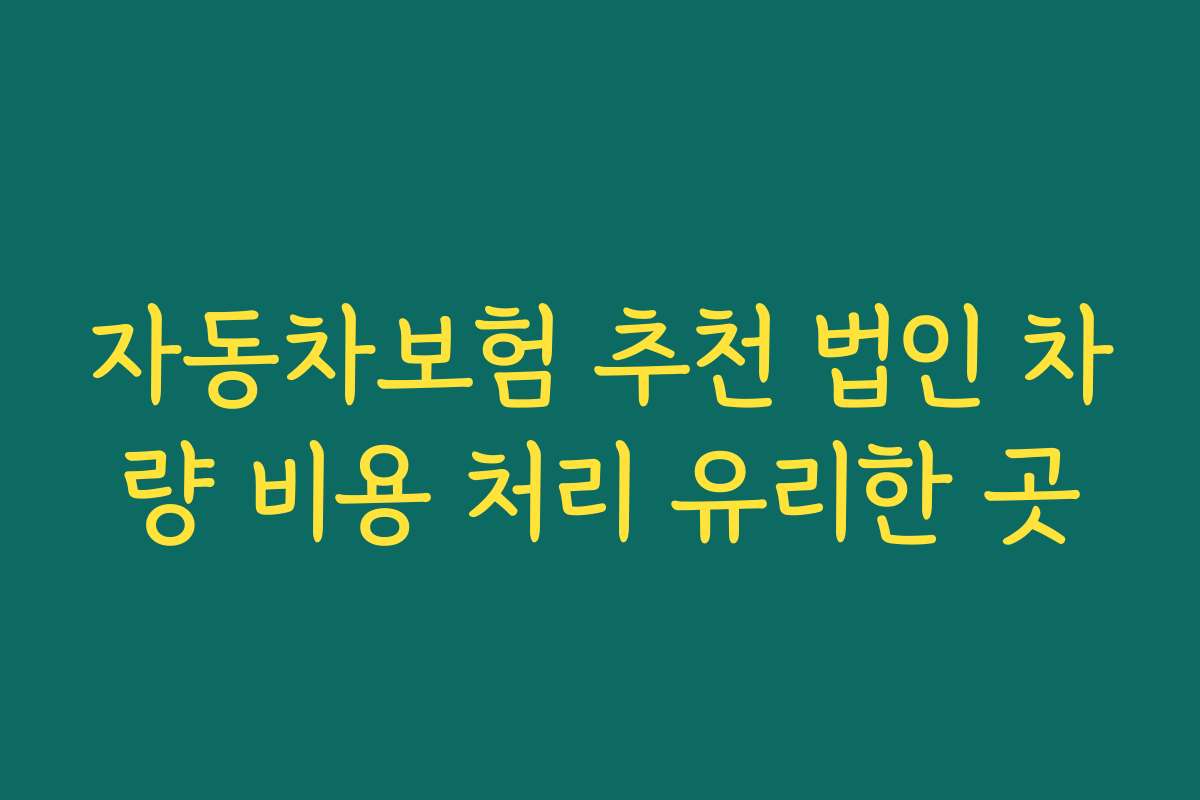 자동차보험 추천 법인 차량 비용 처리 유리한 곳