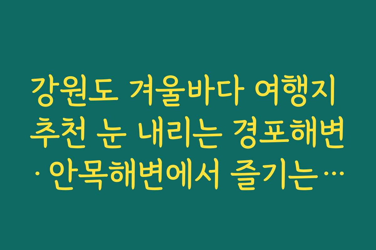 강원도 겨울바다 여행지 추천 눈 내리는 경포해변·안목해변에서 즐기는 커피 거리 산책