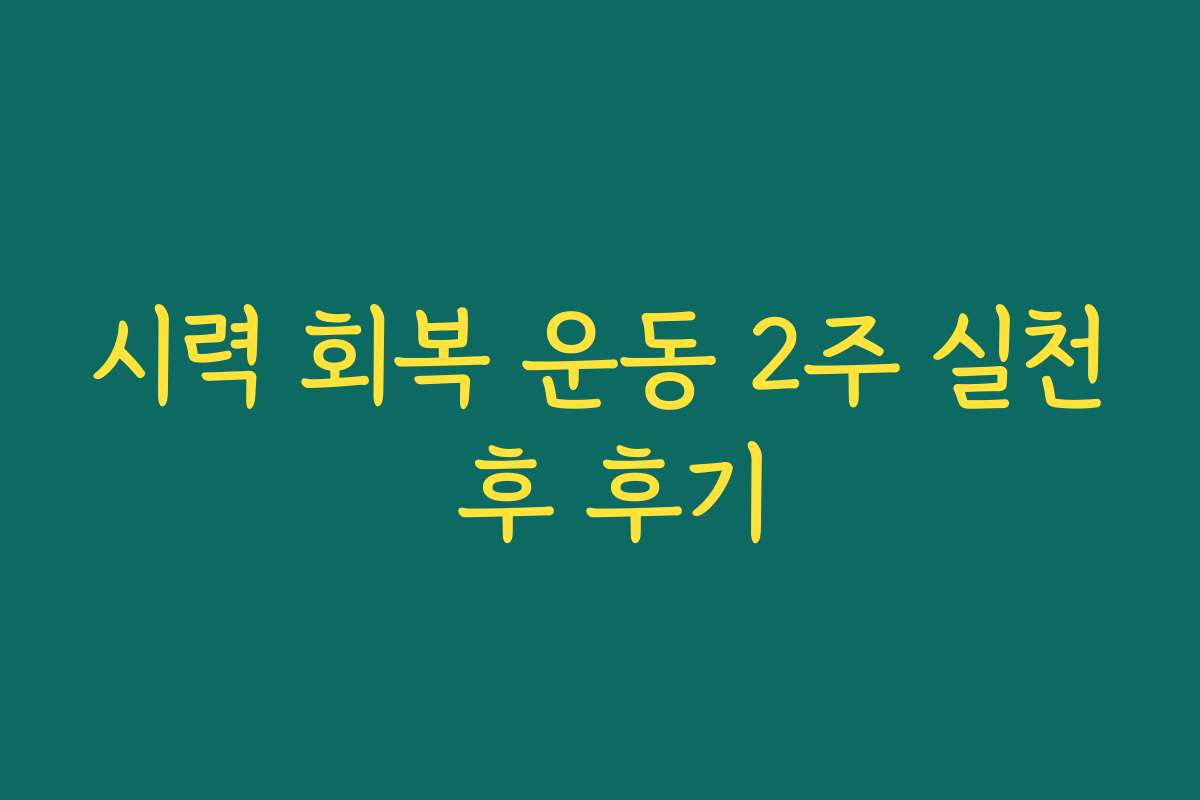 시력 회복 운동 2주 실천 후 후기