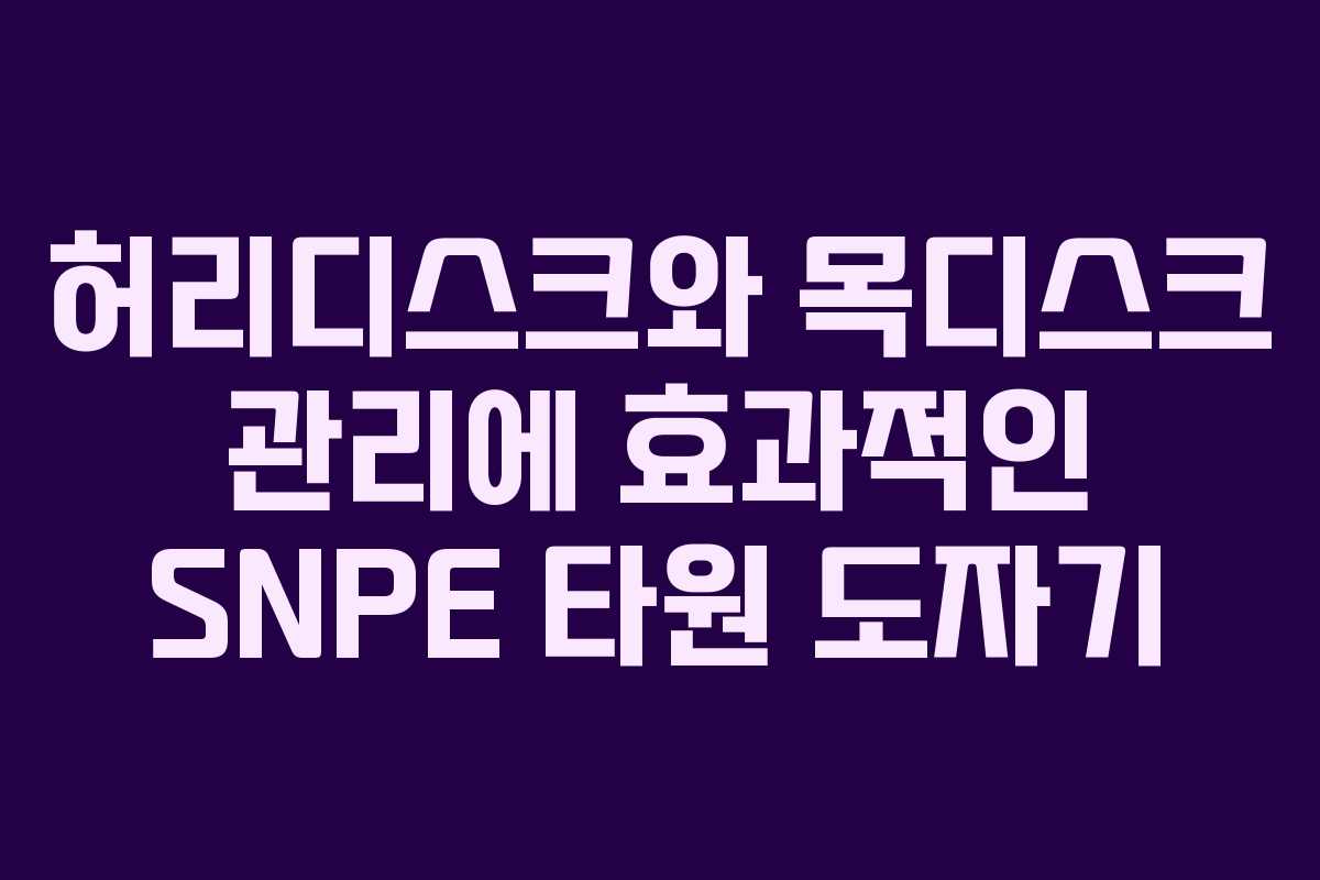 허리디스크와 목디스크 관리에 효과적인 SNPE 타원 도자기 허리디스크와 목디스크 관리에 효과적인 SNPE 타원 도자기