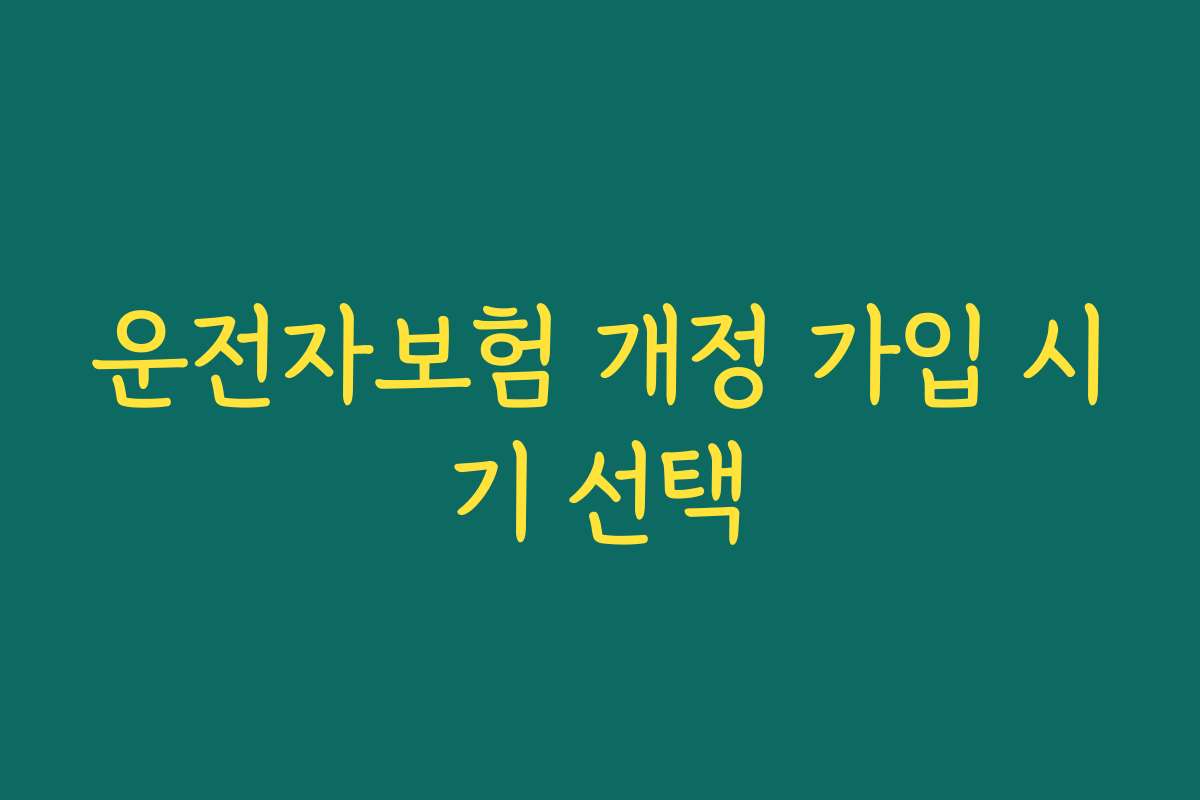 운전자보험 개정 가입 시기 선택