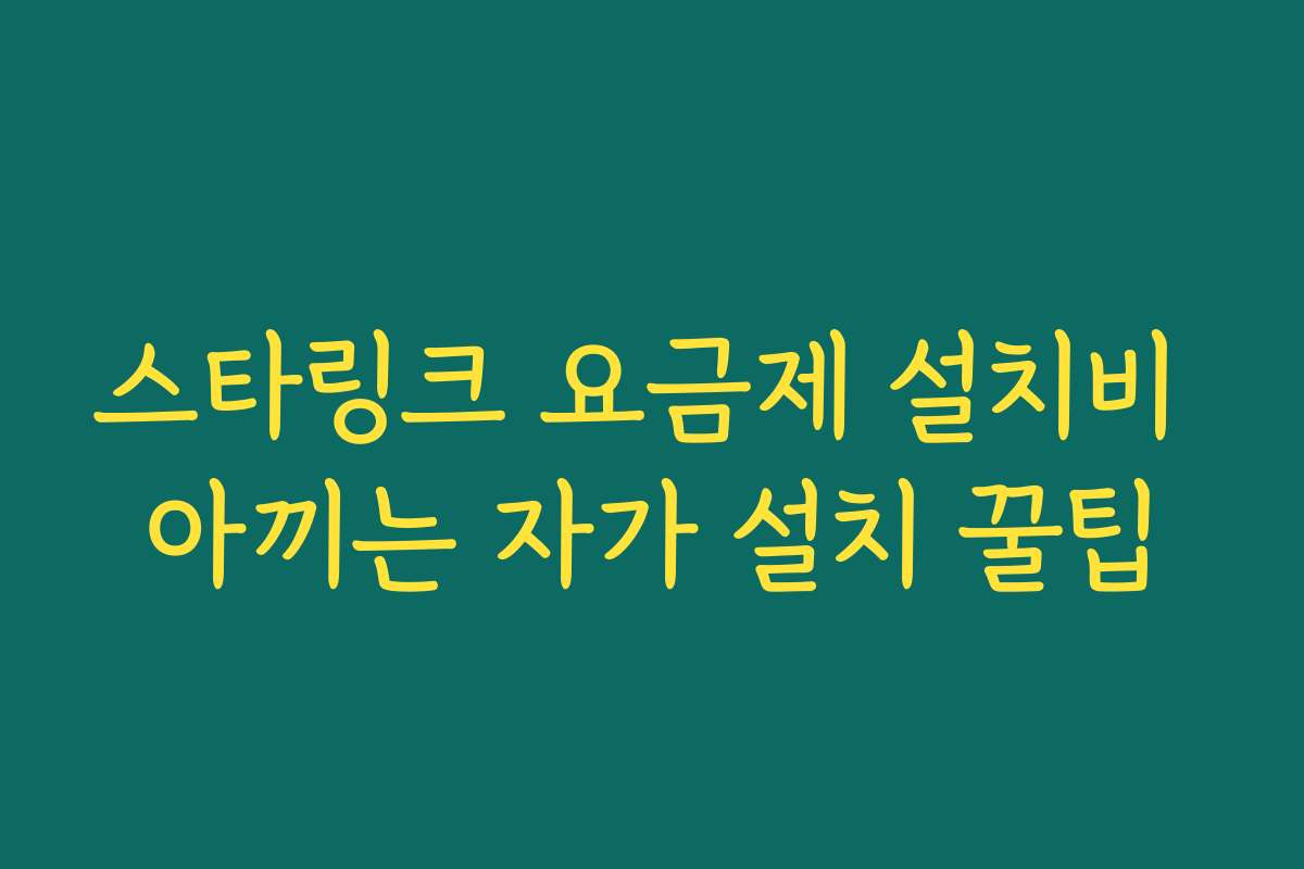 스타링크 요금제 설치비 아끼는 자가 설치 꿀팁