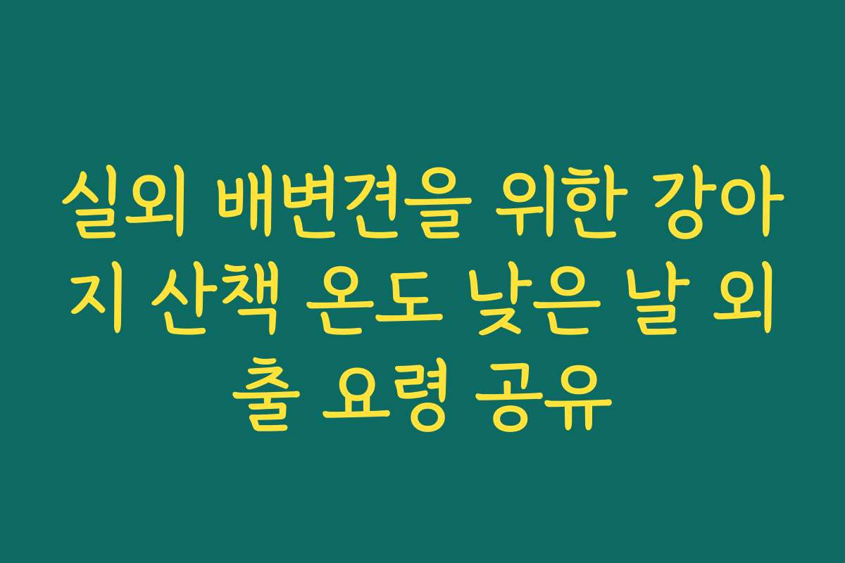 실외 배변견을 위한 강아지 산책 온도 낮은 날 외출 요령 공유 실외 배변견을 위한 강아지 산책 온도 낮은 날 외출 요령 공유