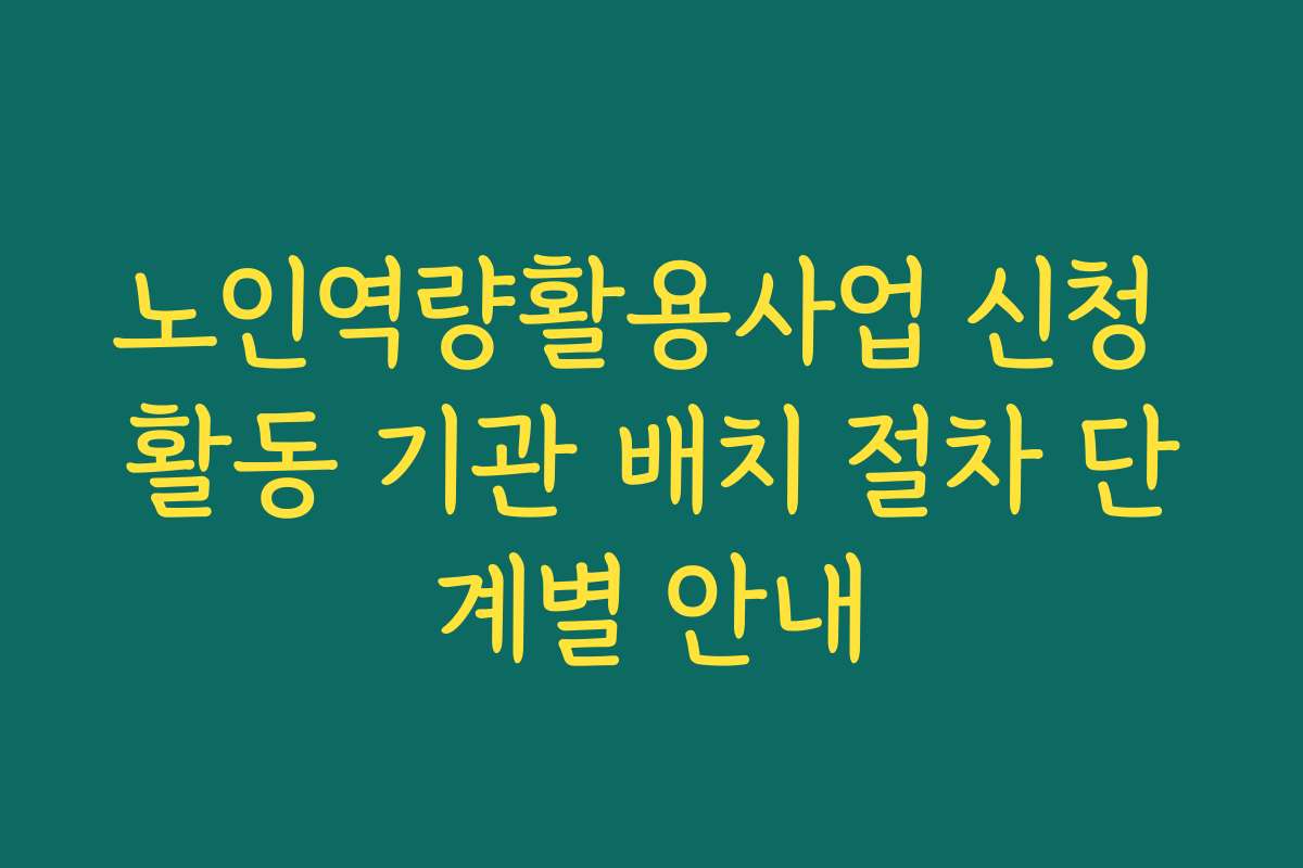 노인역량활용사업 신청 활동 기관 배치 절차 단계별 안내