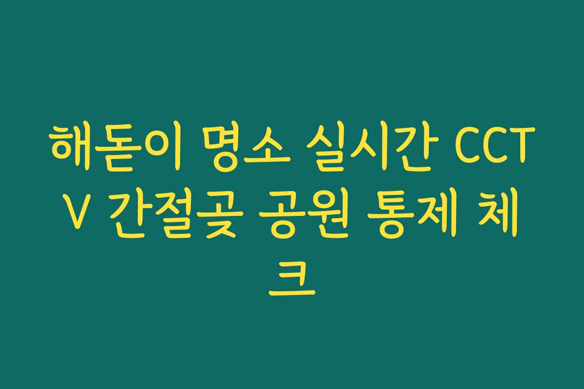 해돋이 명소 실시간 CCTV 간절곶 공원 통제 체크