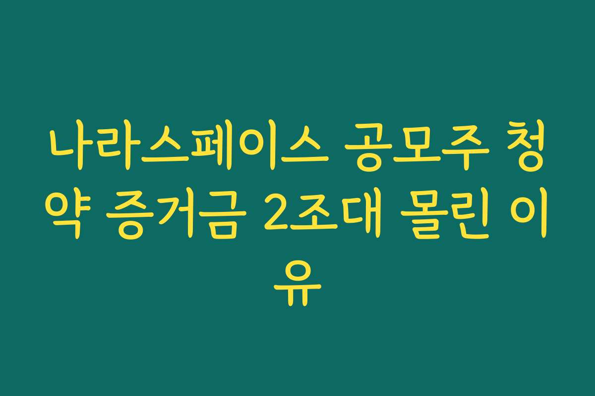 나라스페이스 공모주 청약 증거금 2조대 몰린 이유