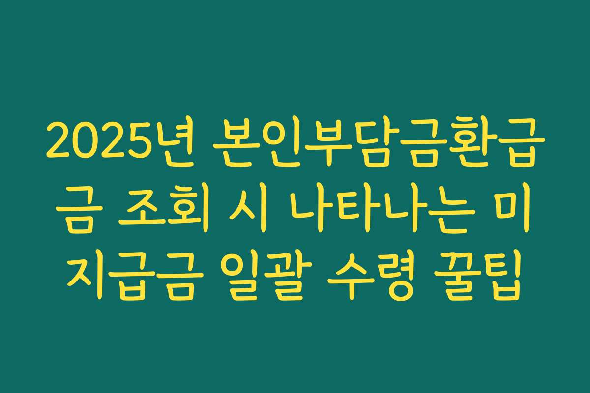 2025년 본인부담금환급금 조회 시 나타나는 미지급금 일괄 수령 꿀팁 2025년 본인부담금환급금 조회 시 나타나는 미지급금 일괄 수령 꿀팁