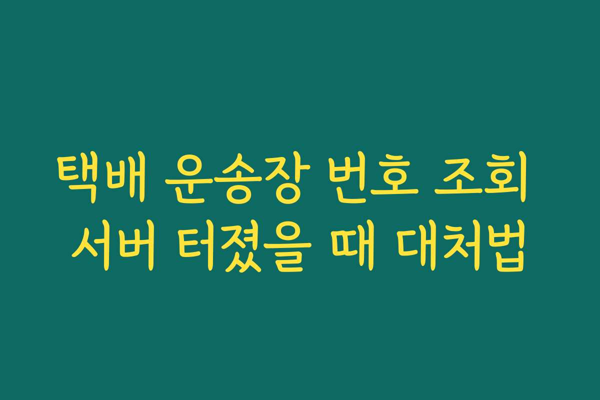 택배 운송장 번호 조회 서버 터졌을 때 대처법