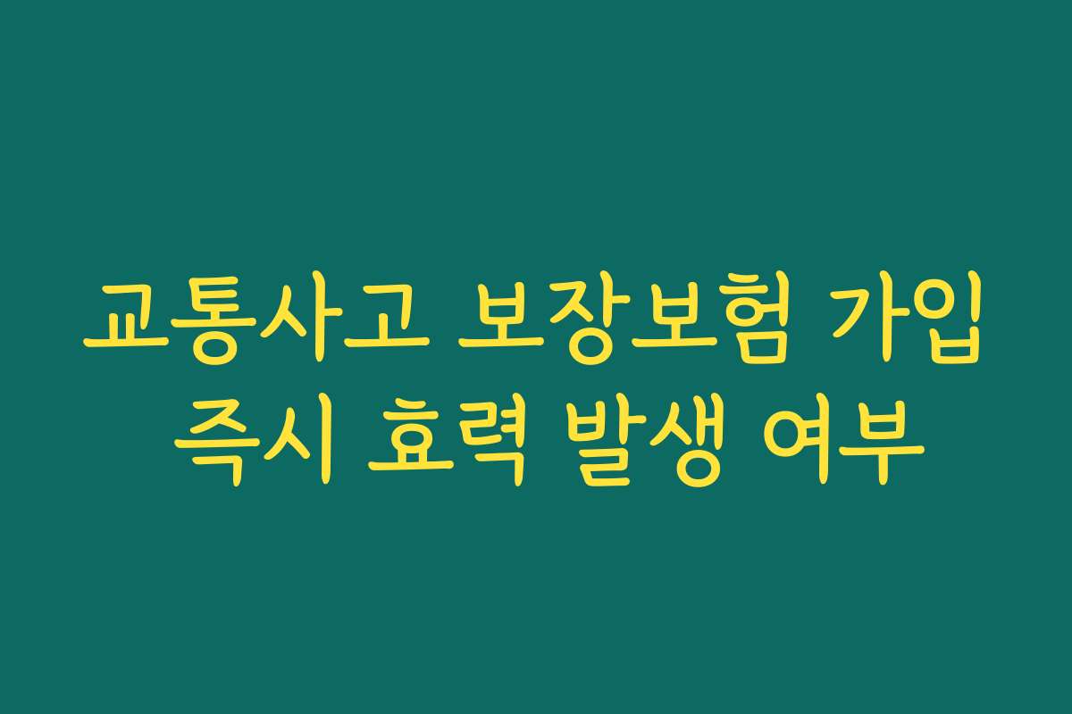 교통사고 보장보험 가입 즉시 효력 발생 여부 교통사고 보장보험 가입 즉시 효력 발생 여부