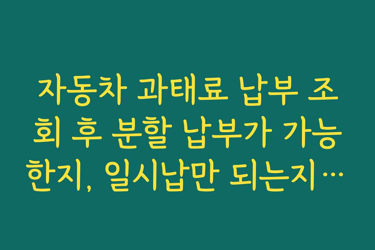자동차 과태료 납부 조회 후 분할 납부가 가능한지, 일시납만 되는지 확인해야 하는 이유