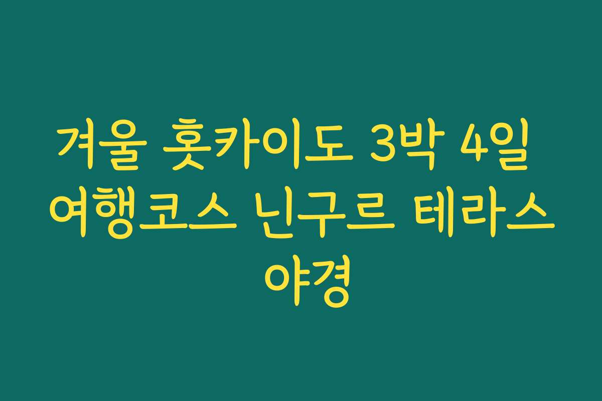겨울 홋카이도 3박 4일 여행코스 닌구르 테라스 야경